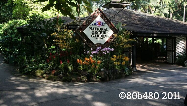experiences bucket list: singapore botanic gardens