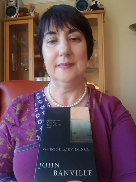 the book of evidence