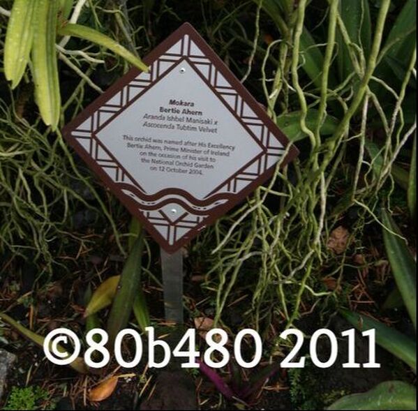 bucket-list-80b480-botanic-gardens-singapore