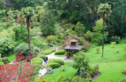 japanese gardens at powerscourt