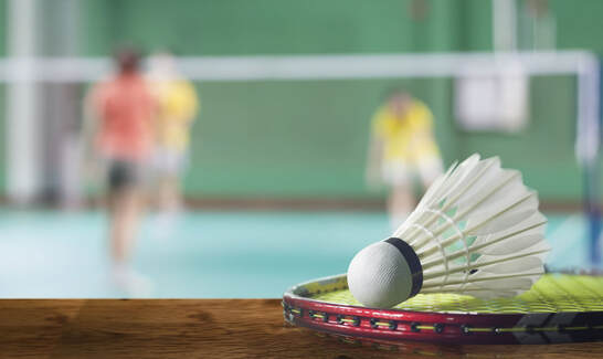 terenure-badminton